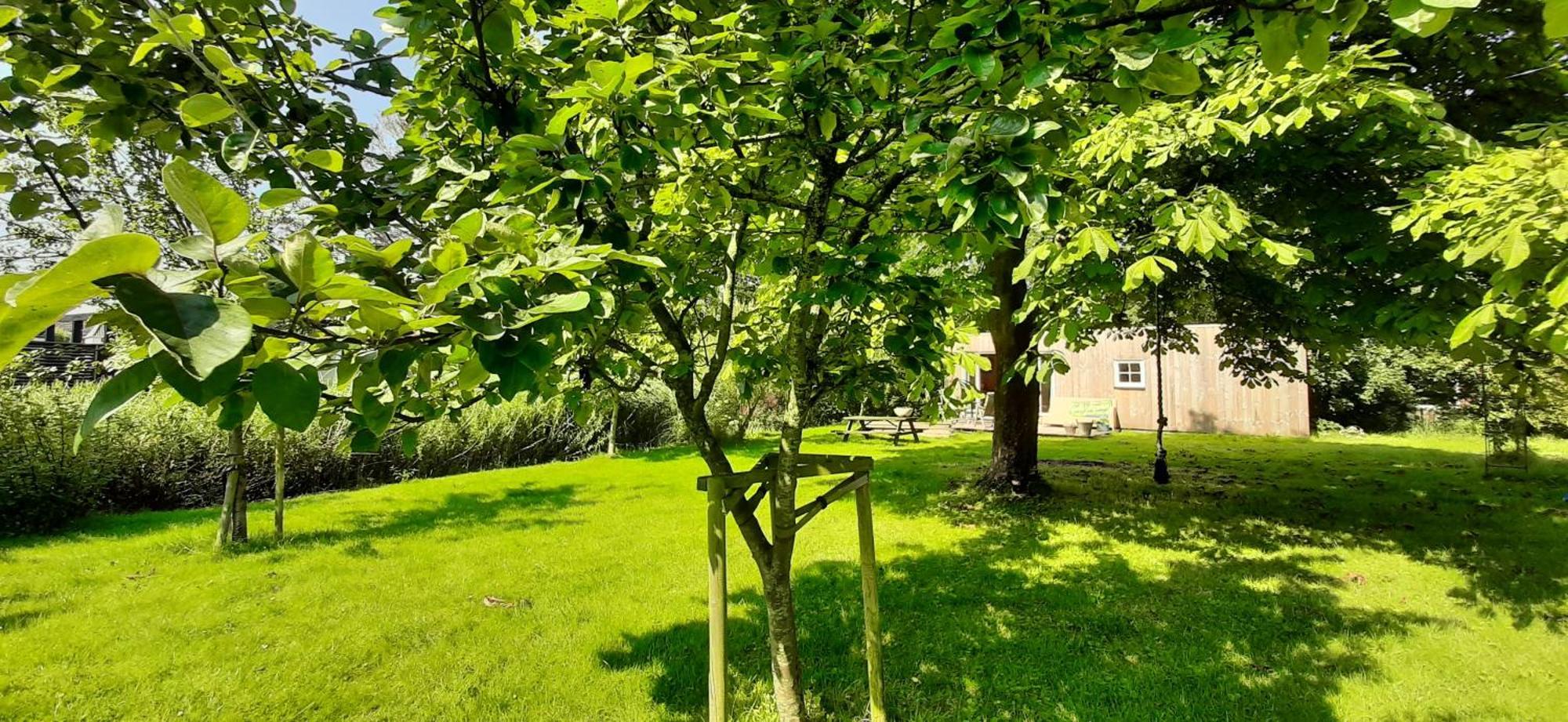 Tobornottob Villa Oosternijkerk Luaran gambar