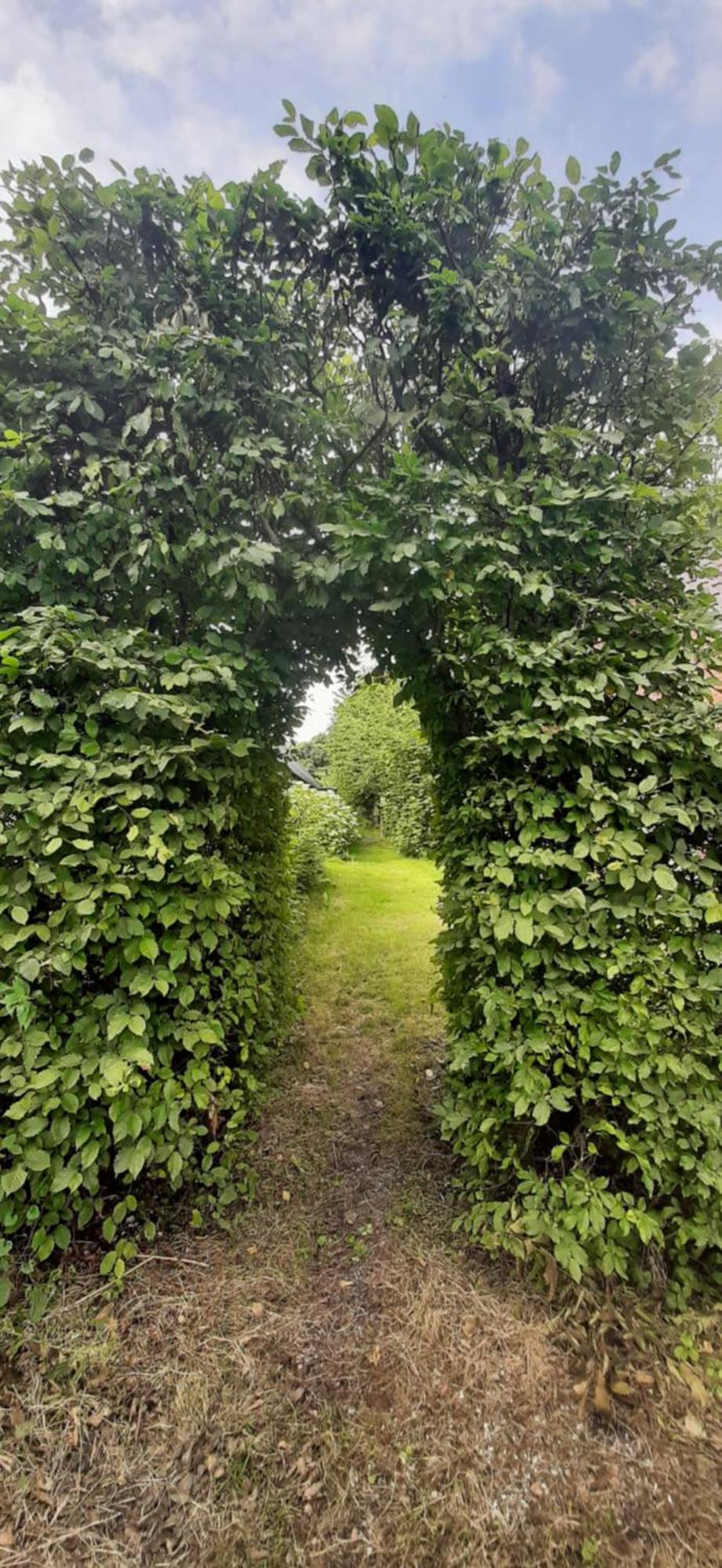 Tobornottob Villa Oosternijkerk Luaran gambar