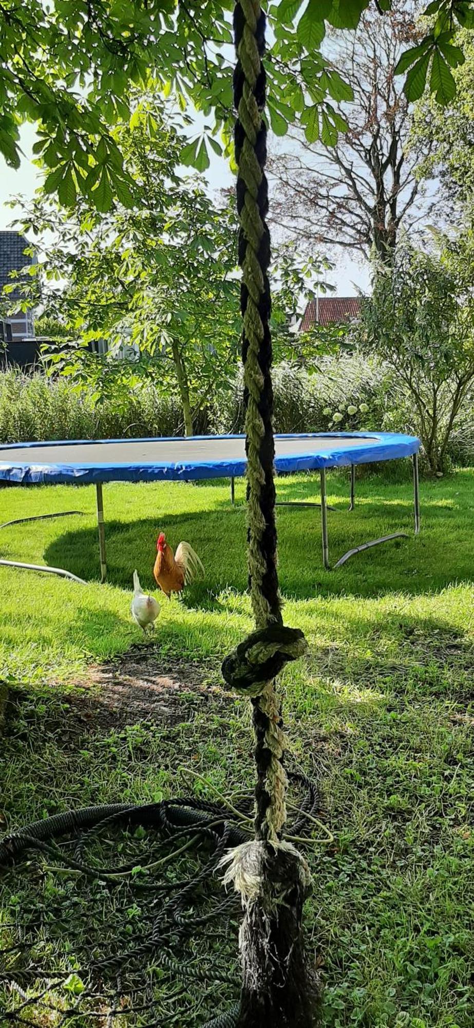 Tobornottob Villa Oosternijkerk Luaran gambar